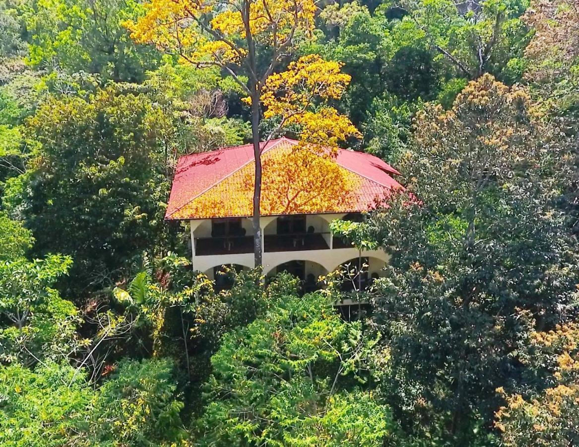 Morrillo Beach Eco Resort Exterior photo