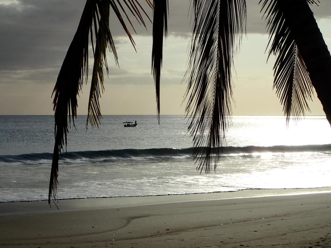 Morrillo Beach Eco Resort Exterior photo